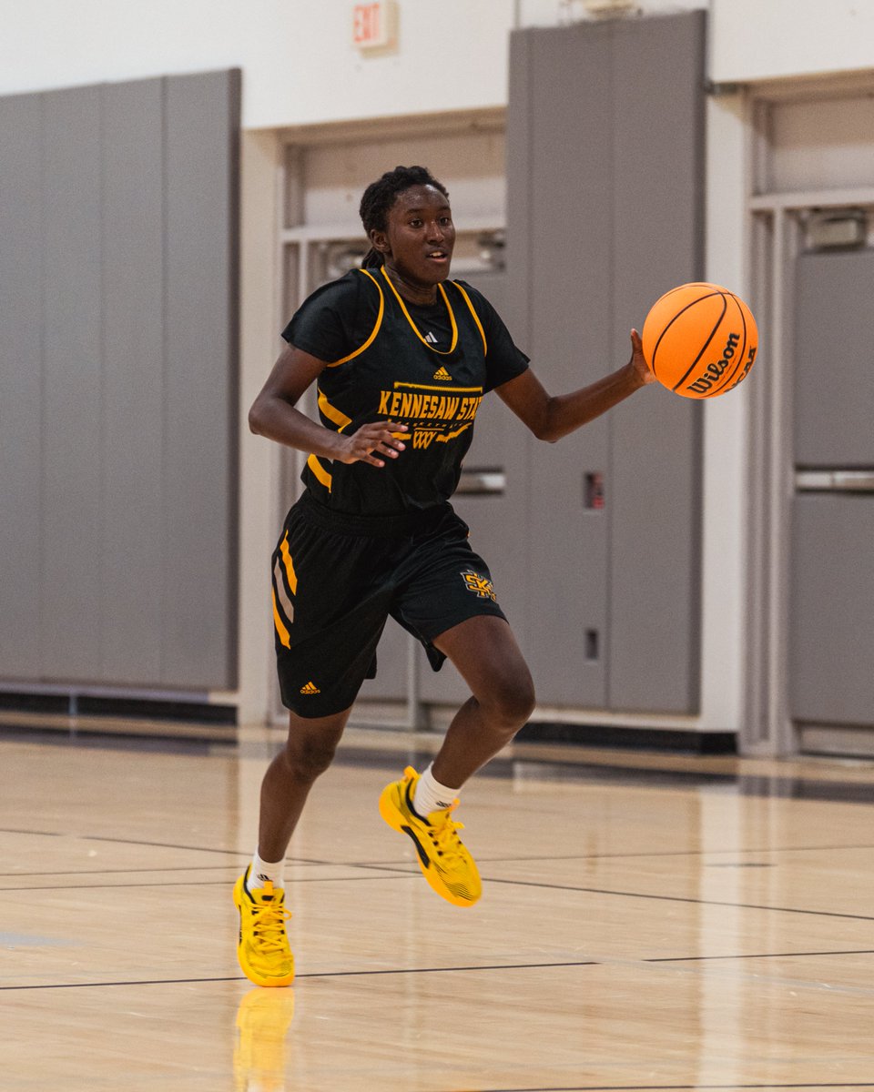 KSUOwlsWBB's tweet photo. Who's Hoo in 26-27?

Introducing junior forward Toni Warren!

She's home. 🦉🏠

#HootyHoo