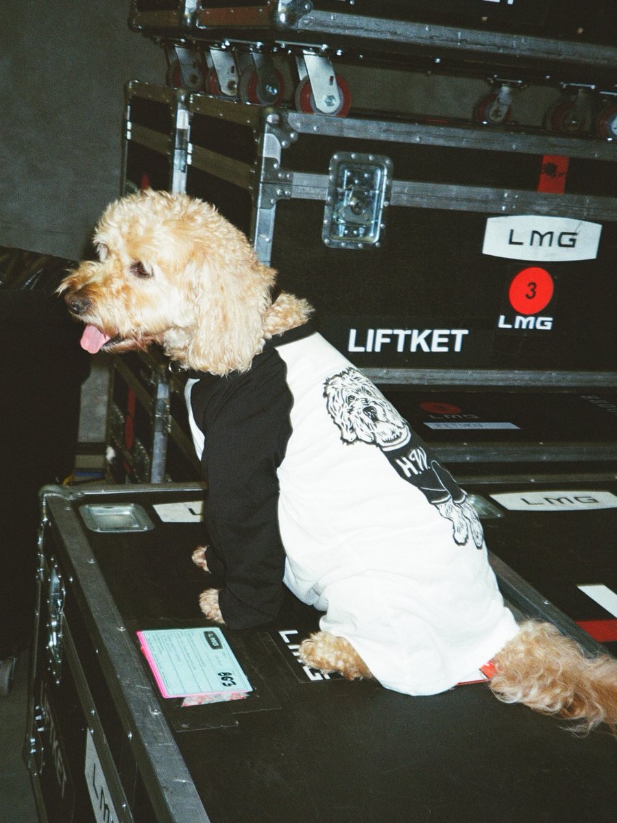 ParamoreMX's tweet photo. Alf posa con una nueva playera disponible en la nueva merch de Hayley.🐶 https://t.co/OBfUgPd3Il