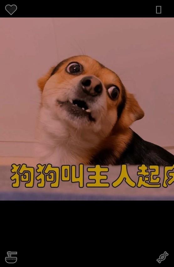 karukeion tweet picture