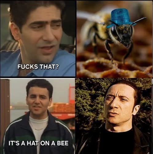 MobstersDaily's tweet photo. Stupid a fucking meme https://t.co/r7D5mYz4i3