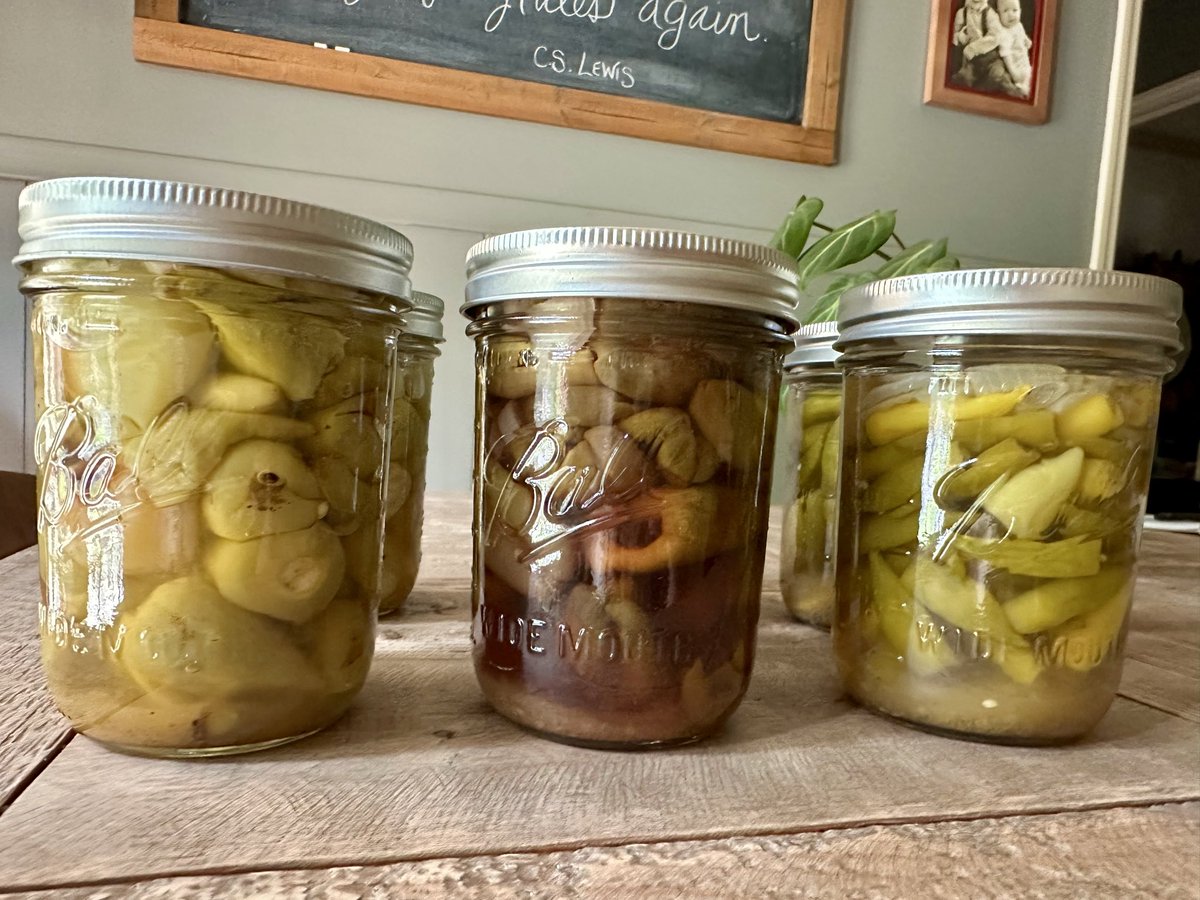 green3quarterAc's tweet photo. Still canning bits from the garden. Pickled peppers: roasted kalugeritsa, roasted zulu, and lemon drop. All seeds from @rareseeds Highly recommend all three. https://t.co/m15XaNn1sI