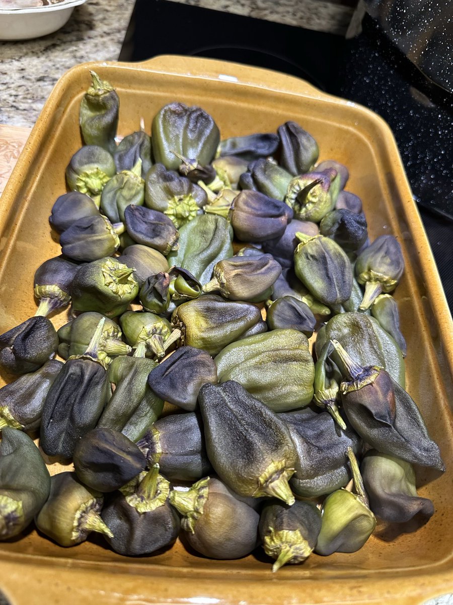 green3quarterAc's tweet photo. Still canning bits from the garden. Pickled peppers: roasted kalugeritsa, roasted zulu, and lemon drop. All seeds from @rareseeds Highly recommend all three. https://t.co/m15XaNn1sI