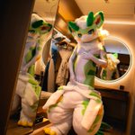 Photo by 灰风/洛帕 (@RayLopper)