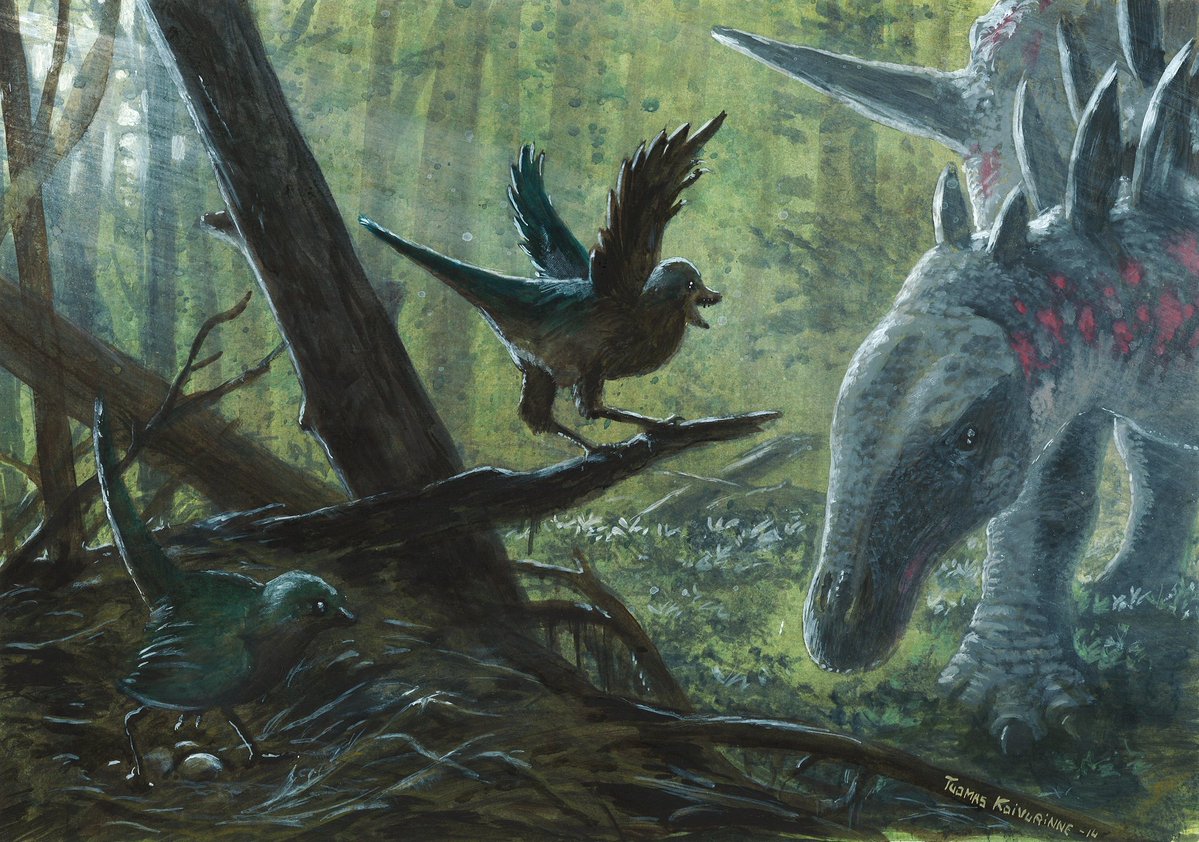 NatSciChannel's tweet photo. 🚨NEW STUDY DROP🚨

Eosinopteryx is an anchiornithid named in 2013. A new re-evaluation and full redescription of the holotype finds it shares almost all features with Anchiornis, and is therefore most likely a synonym.

🎨:  Tuomas Koivurinne https://t.co/M5c8NT3sBx