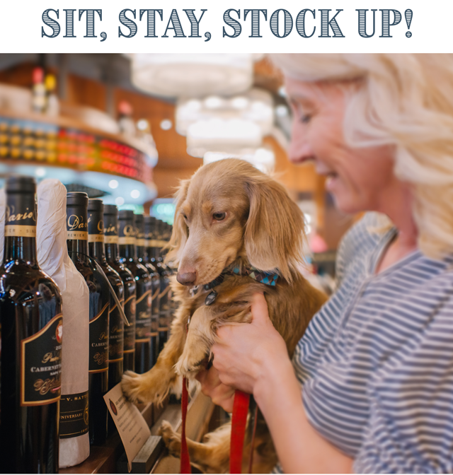 vsattui's tweet photo. We asked a few members of the V. Sattui team for their Big Harvest Sale picks. Their dogs answered instead. Shop their picks, and find a few of your own- https://t.co/4k1eJyJnD6

🍷 10% off $350+
🍷 15% off $550+
🍷 20% off $650+
🍷 25% off 4+ cases https://t.co/4JEGjnrIAC