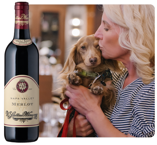 vsattui's tweet photo. We asked a few members of the V. Sattui team for their Big Harvest Sale picks. Their dogs answered instead. Shop their picks, and find a few of your own- https://t.co/4k1eJyJnD6

🍷 10% off $350+
🍷 15% off $550+
🍷 20% off $650+
🍷 25% off 4+ cases https://t.co/4JEGjnrIAC