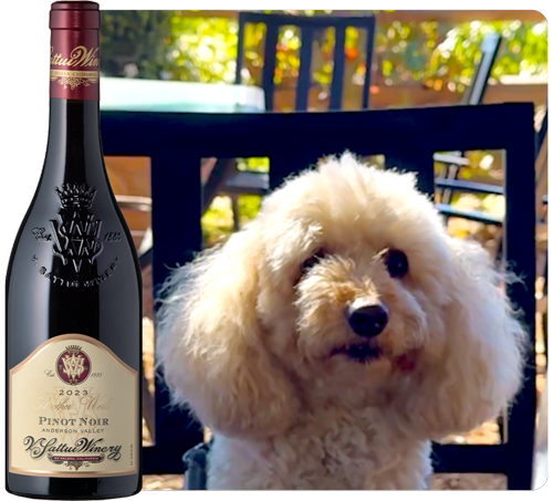 vsattui's tweet photo. We asked a few members of the V. Sattui team for their Big Harvest Sale picks. Their dogs answered instead. Shop their picks, and find a few of your own- https://t.co/4k1eJyJnD6

🍷 10% off $350+
🍷 15% off $550+
🍷 20% off $650+
🍷 25% off 4+ cases https://t.co/4JEGjnrIAC