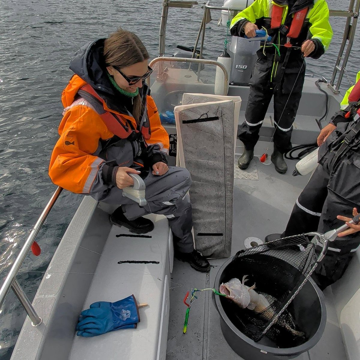 MurielTankesly's tweet photo. Arctic fishing fun https://t.co/ZFHbpEMgKp