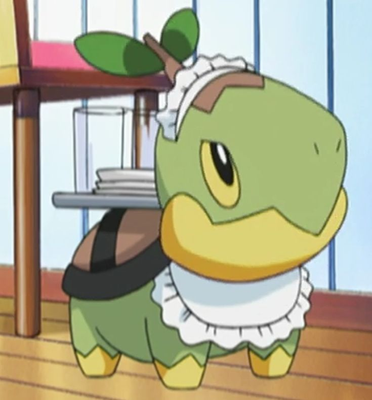 acervoturtwig's tweet photo. Esses são meus 3 Pokémon favoritos! E os seus, quais são? https://t.co/JAUOpJp4FK