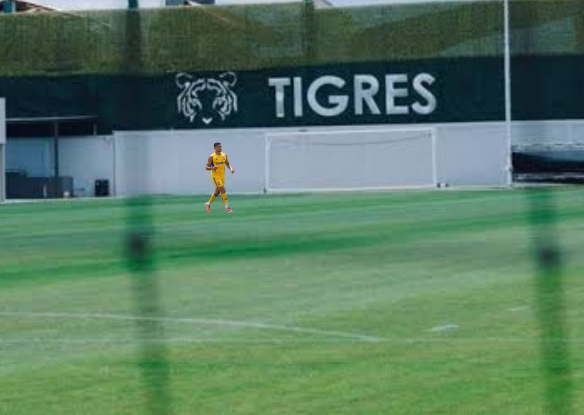 no_stes_mamando's tweet photo. Me comentan que en el entrenamiento de hoy el "Memote” de 30 centros no cabeceó ni uno solo, esto debido a que los centros los mandó Lainez y Garza.

0/30🎯 https://t.co/JsYIVH0RhI