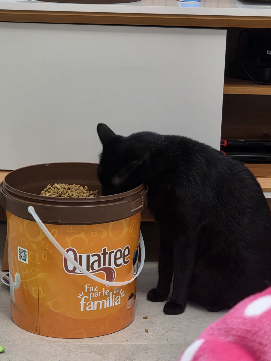 carollborgesl's tweet photo. Alô, @quatreepet  me ajuda, n tá dando pra economizar. Kkkkk https://t.co/NduYUDRffC