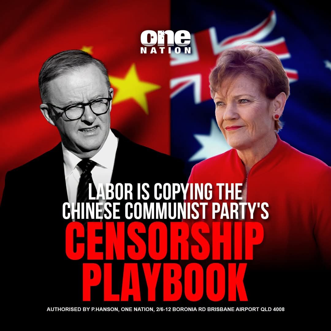 FocusDetective's tweet photo. @AlboMP https://t.co/05co2w9icv