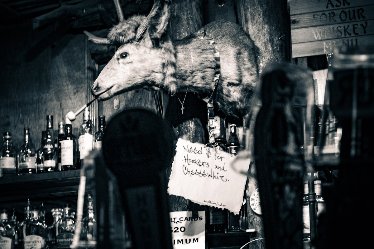 slightlyrobotic's tweet photo. [ Party ◇ Animal ]

 😈🤘🏾

#blackandwhitephotography #americana #divebars #nevada #adventure https://t.co/S9hdZkOo3y
