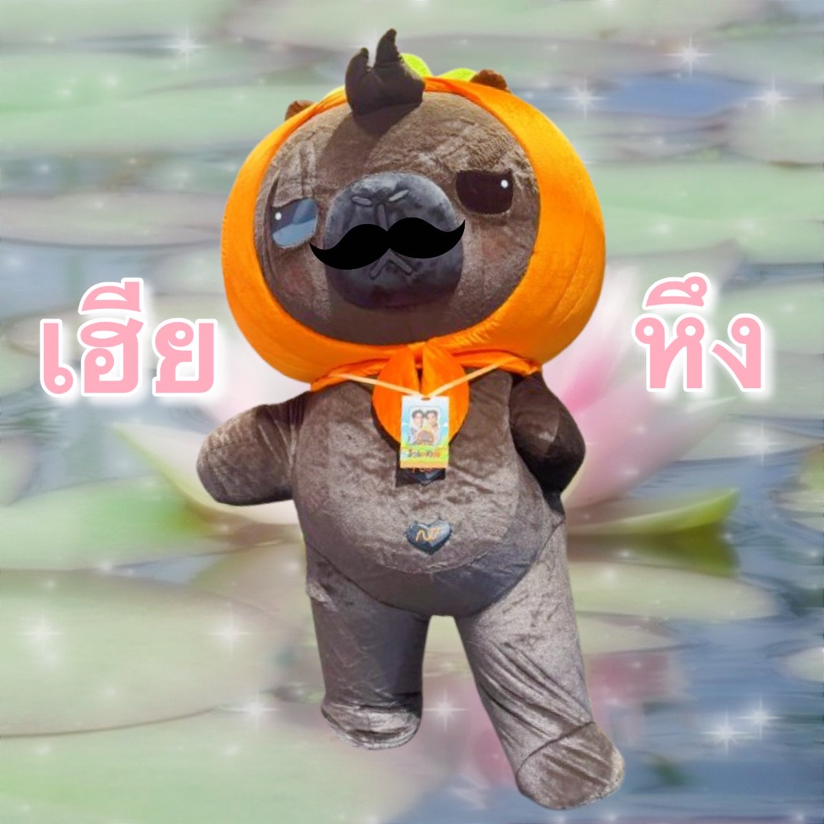 jappzarii's tweet photo. ย้วยขอนำเสนอ จ.จุ๊ก เฮียหึง
#JookKroo https://t.co/UtCketMFwA