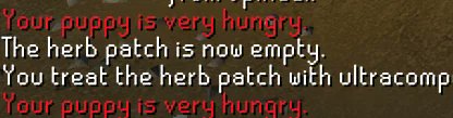 RuneMarketGG's tweet photo. BREAKING: Some OSRS players have discovered the price of keeping a dog a puppy forever: emotional guilt. Puppies can reportedly stay young, but the game will continue reminding owners that they are hungry. https://t.co/ttGw6qPwqB