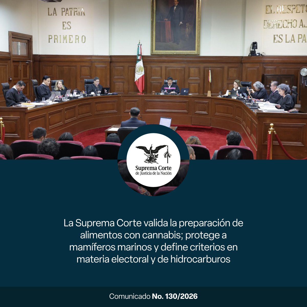 SCJN's tweet photo. Hoy la #SCJN determinó que la autorización para el autoconsumo recreativo de cannabis y THC puede incluir la preparación en alimentos para consumo personal y, protegió las condiciones de vida de mamíferos marinos. 

Además, resolvió otros asuntos relevantes. ¡Entérate! https://t.co/mijopW6X2h