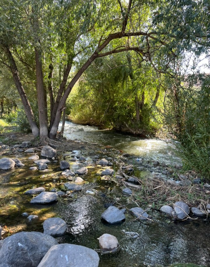 purelivn's tweet photo. i find peace in nature https://t.co/2tIxy08XFP