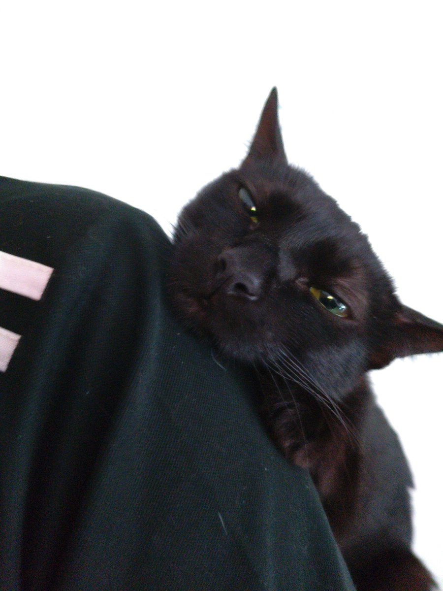 srasilkg's tweet photo. 😕 https://t.co/OpzjHy09WX