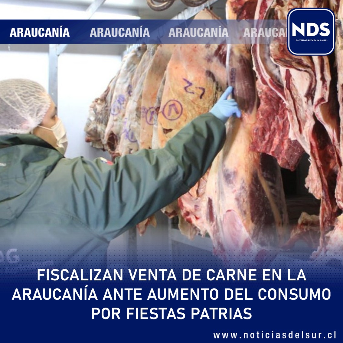 ebullient_opler's tweet photo. 🔵#Temuco || Intensifican fiscalizaciones a la carne en La Araucanía previo a Fiestas Patrias

Autoridades reforzaron las fiscalizaciones a la cadena de comercialización de carne en La Araucanía, con el objetivo de verificar el cumplimiento de las condiciones sanitarias. https://t.co/rdnmhR90Xg