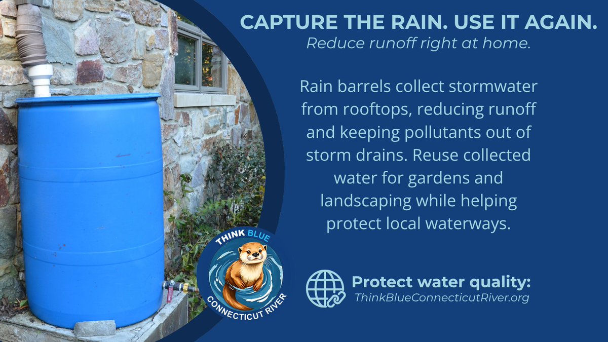 ThinkBlueCTR's tweet photo. Put rain to work in your yard! 

Rain barrels capture rooftop runoff, helping reduce stormwater flow while providing reusable water for gardens and landscaping. A simple step at home can help protect local waterways.

#ThinkBlueCTRiver #RainBarrel #Stormwater #MS4 https://t.co/BoDB3WNqJe