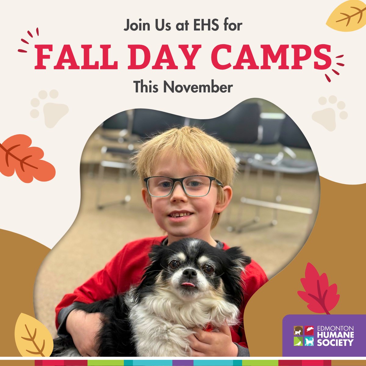 EdmontonHumane's tweet photo. Another season of EHS Summer Camps is in the books!☀️ Thank you to all of our campers who made each week a blast ❤️ 

We can't wait to welcome our fall campers this November for our one-day EHS Fall Day Camps 🍂

🕐 Spots are limited. Book now: https://t.co/oCoqkJeJX2 https://t.co/o2TLxufAy2