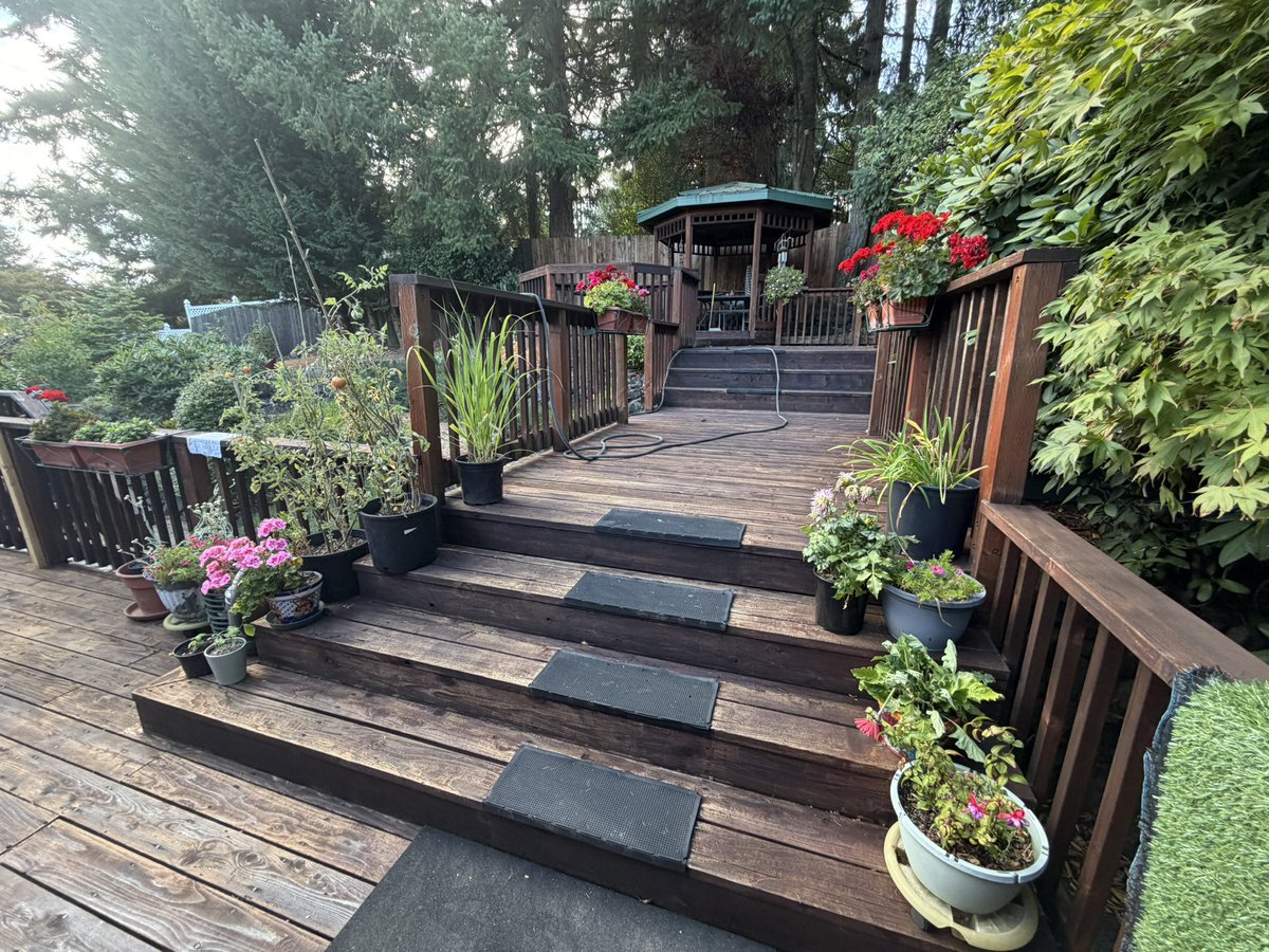 gingivaelum's tweet photo. my grandmas house is so pretty ❤️ https://t.co/yGEFGYby3a