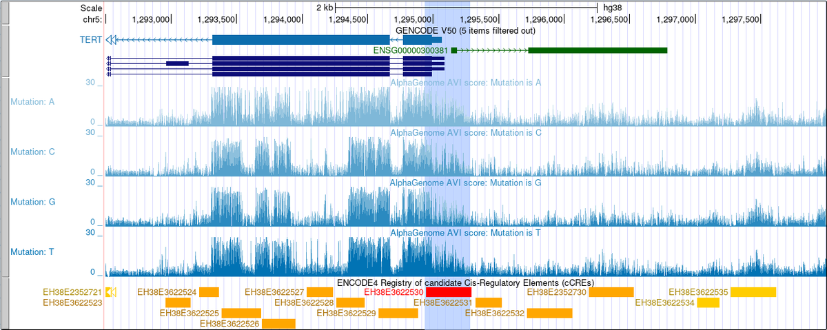 GenomeBrowser's tweet photo. New on hg38: @GoogleDeepMind AlphaGenome Variant Impact (AVI) scores, all 8.8 billion possible single-base changes. It scores non-coding DNA too, flagging things like the TERT promoter mutations common in cancer.

See our news for more: https://t.co/lMx2PngE0F https://t.co/9YhhqlMv7V