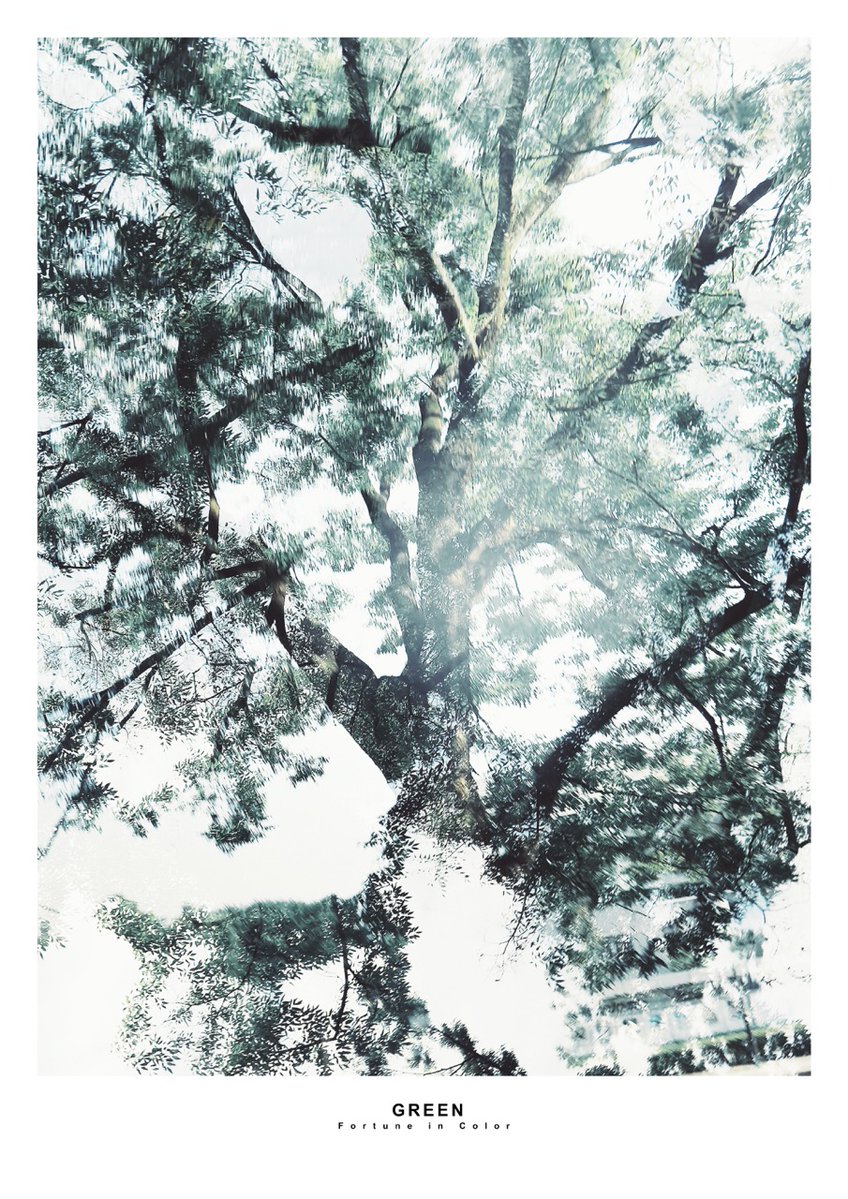 infomyselect's tweet photo. takashi ueda(is_shinshin)。
滋賀県甲賀市において、スナップ〜コンセプチャルまで様々な写真を制作しています。
そんな、世界樹の作品と作家のプロフィールを紹介します。
https://t.co/MPrJ2Nrjbx
#世界樹 #写真 #アート #写真家 #甲賀市 #滋賀 #japan #ICM #worldtree #photographer https://t.co/UGrVhytcDY