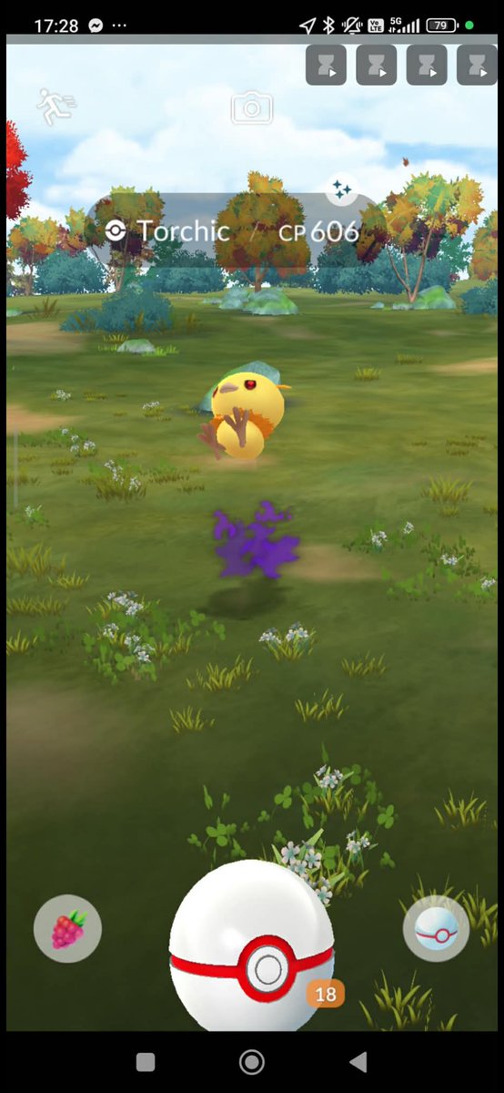 1Peggy97's tweet photo. #newin 😍🥳✨✨✨
#pokemongo #shadowlove https://t.co/SWZU7DKn4b