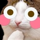 KailK43572's tweet photo. @jiascos https://t.co/1XDuIxbA0L