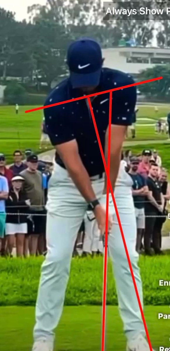 TeeRexgolf0's tweet photo. Set up position. https://t.co/LwOyv7HnkF