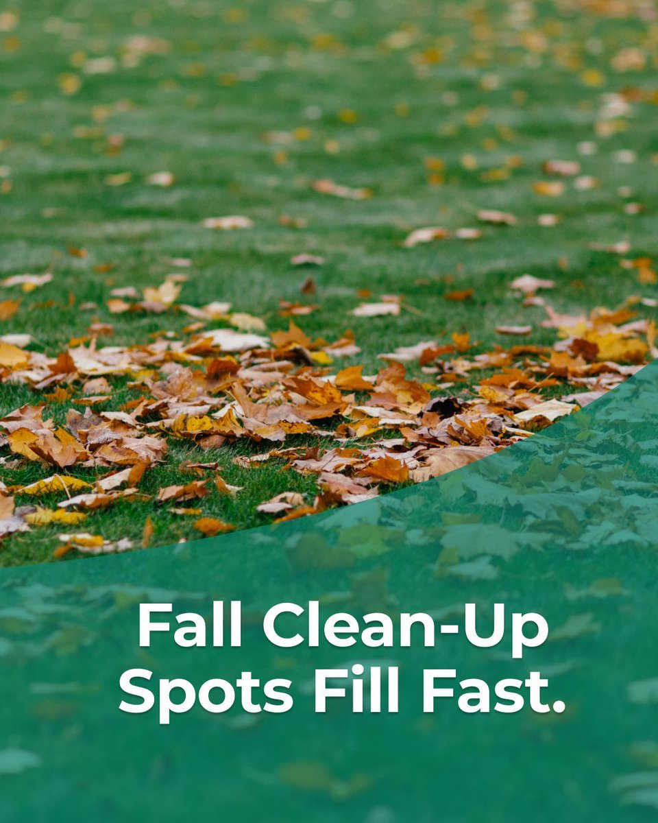 willowizerinc's tweet photo. Calling all residential and commercial property owners: 
If fall clean-up is on your list, now is the time to lock in your spot. Leaves, beds, borders, and full property prep before winter. Don't leave it until October and find yourself waitlisted.

https://t.co/X3nItVZ6iU https://t.co/RkQyVpUWdc