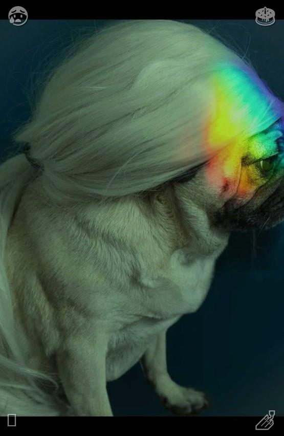 dearmysirius's tweet photo. You possess complete authority to change your unfulfilling present circumstances. Don't point fingers at outside factors for your problems; forge brighter tomorrows through your own actions and steady dedication.🎳A dog sprints while carrying a toy https://t.co/pY3JNyL78L