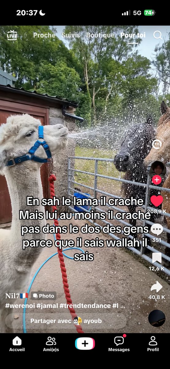 shdww_s's tweet photo. W’Allah que lui aussi il sait https://t.co/v4b14UyVLs