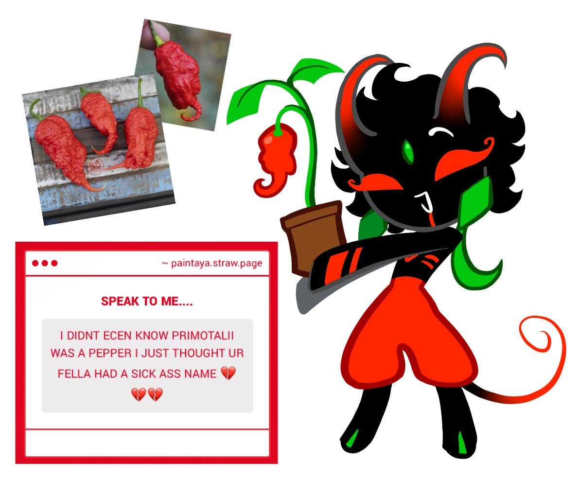 paintaya's tweet photo. NDSJDHD I couldn’t blame you for even a single second!! I haven’t met a single person who knows wtf a Primotalii is!!!! At least it is indeed a really cool name 🙏❤️ https://t.co/zlzefOH8mk