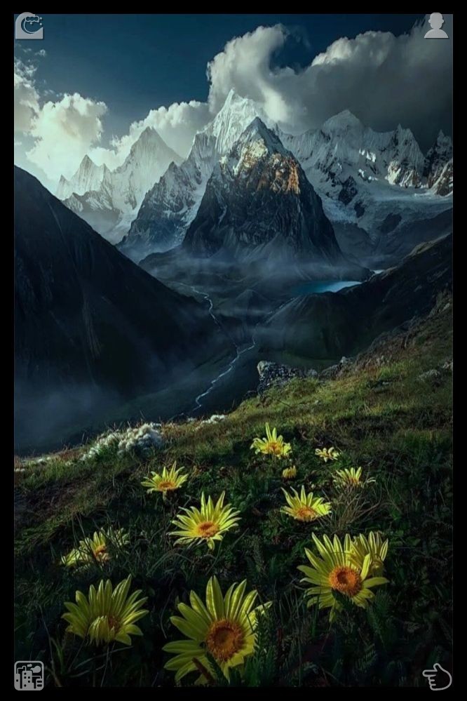 EpgGmm's tweet photo. 🏆 Freezing strawberries Frozen berries As they arrived at the meadow, Leo indicated a patch of poppies whose crimson blossoms were radiant under the sun. Lifting his camera, he positioned the flowers against the backdrop of the sky and said, “These are the ones I love most—th https://t.co/qMw6Cn2Zv5