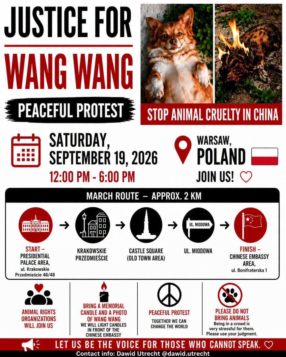 GailBow90094610's tweet photo. #JusticeForWangWang #JusticeForFireball #JusticeForCowcat #JusticeForLittleCalf #JusticeForAite #JusticeForTheodore #JusticeForOrelha #JusticeForTeddy #EndCatTortureInChina #EndKittenTortureInChina #StopAnimalAbuse https://t.co/YM8zTUlXWp
