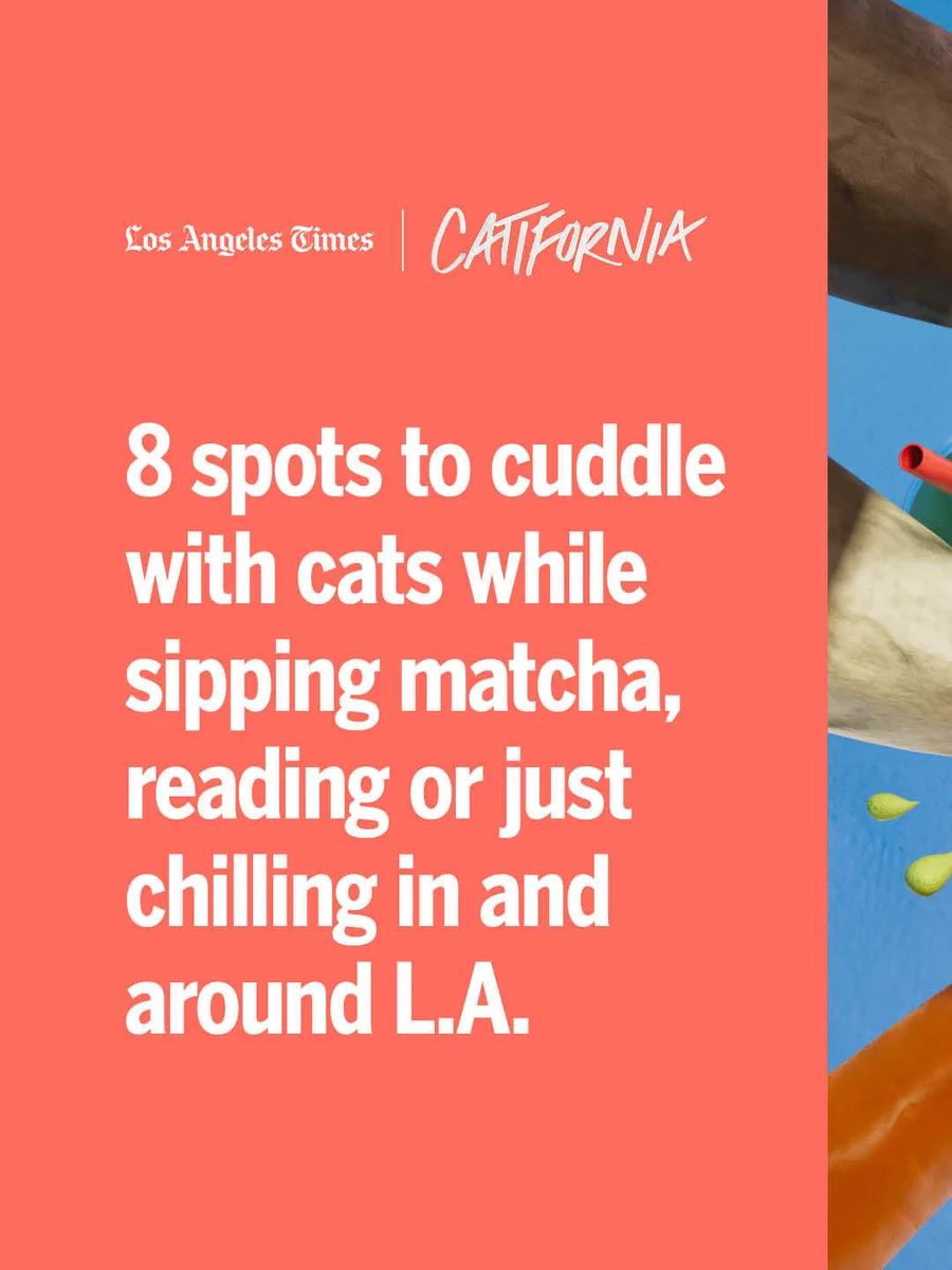Los Angeles Times on X: 