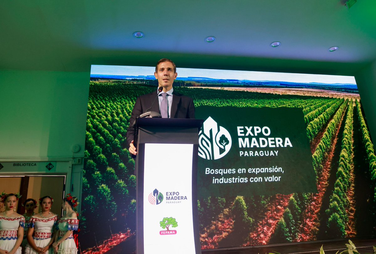 MIC_PY's tweet photo. #MIC | Paraguay avanza hacia una industria forestal con mayor valor agregado 🌲

En la apertura de la 6.ª Expo Madera, el ministro @mriquelme1 destacó que el sector forestal puede generar entre 80 y 100 empleos formales por cada mil hectáreas, con puestos especializados y descentralizados en el interior del país.

El desafío planteado: que Paraguay deje de exportar rollos de madera sin procesar y avance hacia una cadena productiva que la industrialice antes de llevarla a mercados internacionales.

Con cerca de 400.000 hectáreas de plantaciones forestales ya instaladas, el país cuenta con una base lista para nuevas inversiones industriales. El MIC impulsa además el trabajo conjunto entre sector público y privado para facilitar el financiamiento de estas industrias.

🔗 Nota completa en: https://t.co/vz3g0TMzmi

#GobiernoDelParaguay