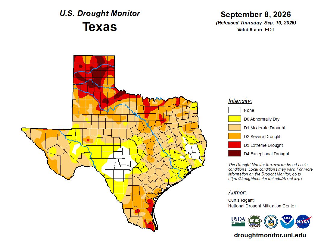 TxWRI's tweet photo. Drought conditions have continued to rise across Texas, per the U.S. Drought Monitor as of 9/10: https://t.co/iBlVr0E9KT

-35.91% of Texas is in severe or worse drought
-13.69% in extreme or worse drought
-3.42% in exceptional drought https://t.co/afjFkgTJXr