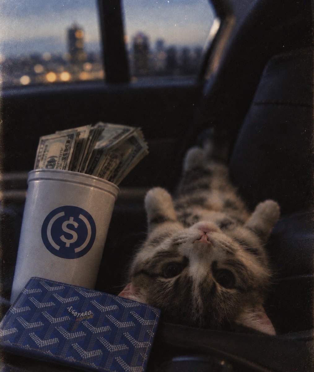 upsidedowncatSF's tweet photo. let’s ride. https://t.co/SB1ag0J8Vf