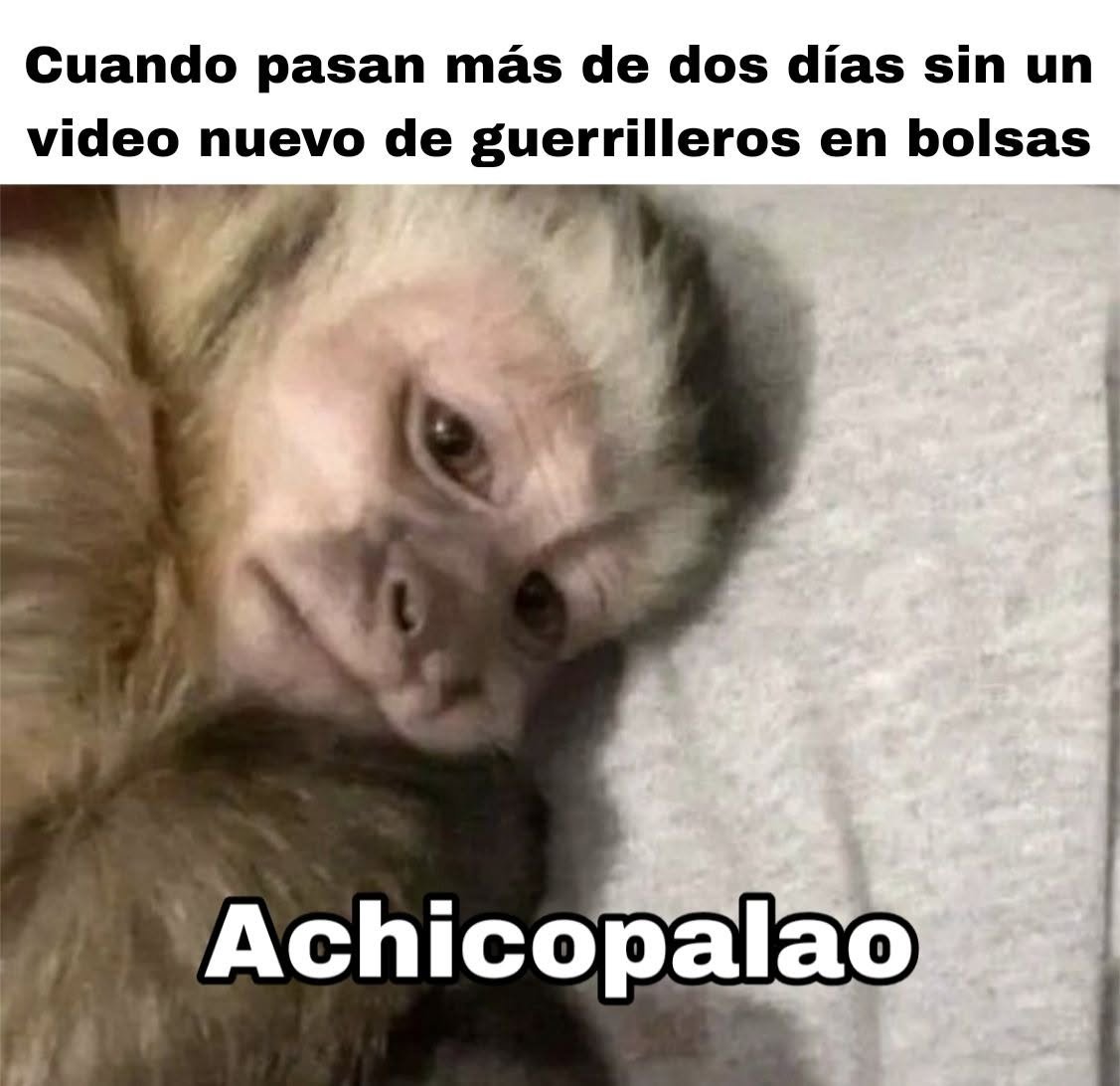 nacional_memes's tweet photo. 🐺 https://t.co/wBqw7xmuZ4