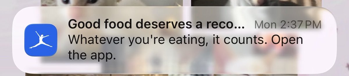 achillesb1gtoe's tweet photo. Thread of triggering myfitnesspal notifs *will keep adding as they come* ⋆˚❀˖° https://t.co/qeO3mFJyBV