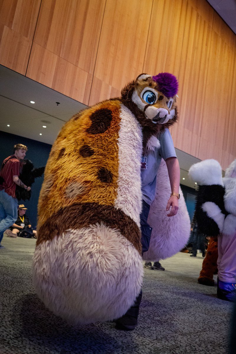 KaydenTheSnep's tweet photo. @finnthepuppo You need a lot of photos now you get a lot of tail :3 https://t.co/NFepBhQYtV