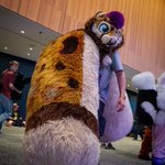 Photo by Big Snep 🧦🐾~ (@KaydenTheSnep)