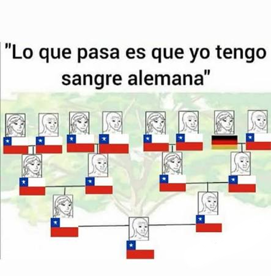 Marx_maxxing's tweet photo. Lo que pienso cuando un usuario chileno tiene un 🇩🇪 en el nombre. https://t.co/It0oTXhj8A