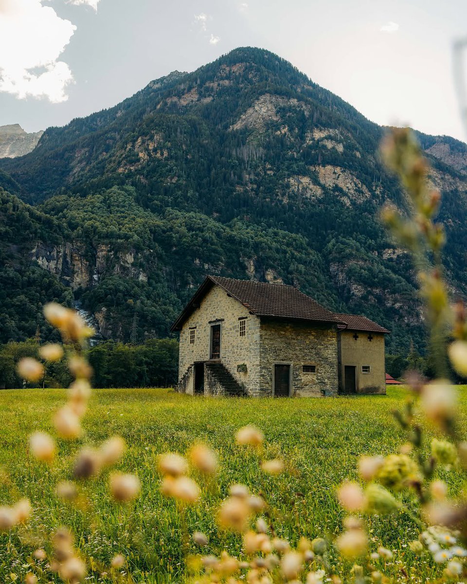 flower6260's tweet photo. Swiss Alps https://t.co/b5RNHk7gac