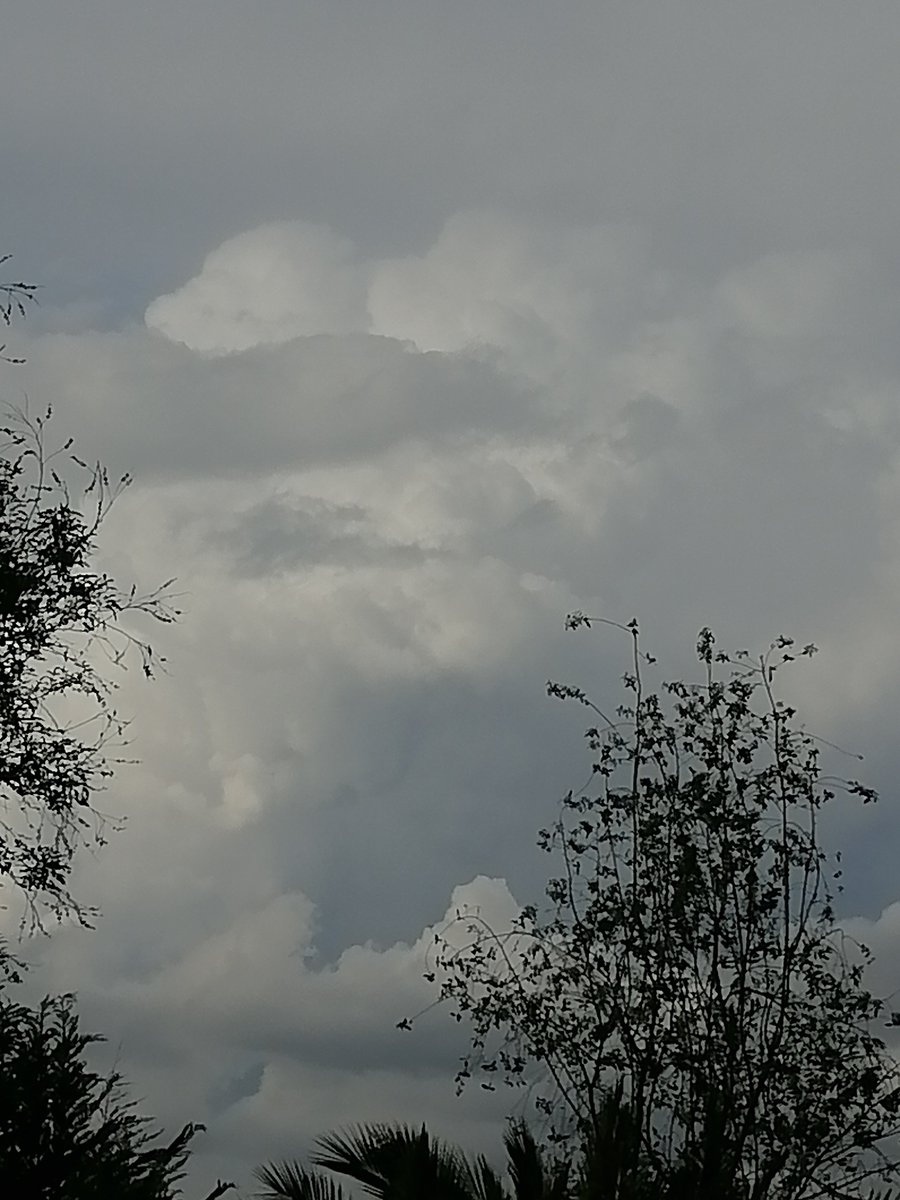 davidurra7's tweet photo. Se está desarrollando un cumulonimbus en Curacaví nororiente y Tiltil cordillera de la costa #RM La nube está ganando altura logrando romper la inversión térmica qué había arriba

Ahora libre convección, alcanzará topes fríos mas altos  de seguro habrán ⚡⚡ prox hr por sectores https://t.co/E8JA1opPtx