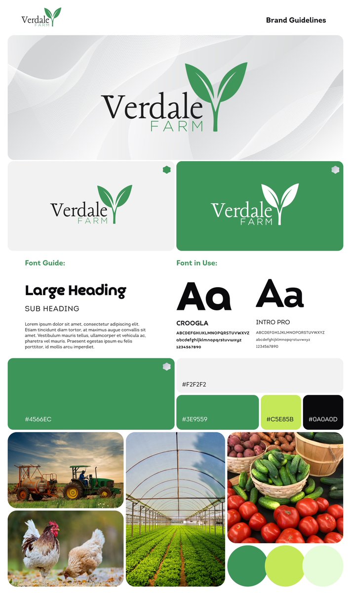 mn_almustapha's tweet photo. Brand Identity design and visuals for Verdale Farms, a modern agribusiness committed to producing high-quality agricultural products through sustainable farming practices, innovation, and community-driven impact.

Give your brand the designs that create impact and sales. https://t.co/xwVNKCVbi3