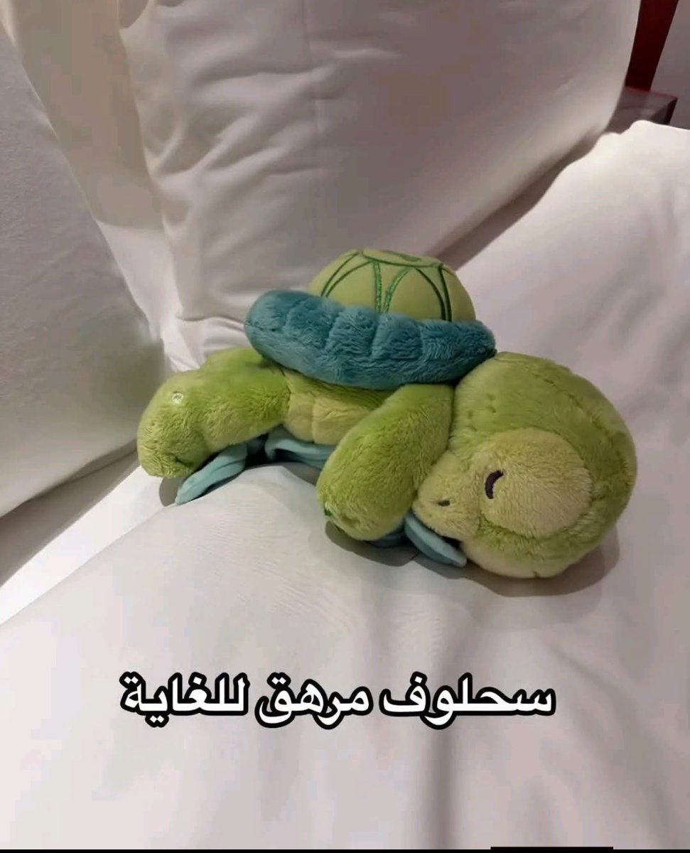 titritvis's tweet photo. سحلوفة📌 https://t.co/DPyXGd1PsR